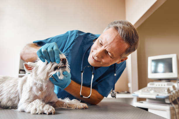 Best 24-Hour Emergency Dentist in Hewitt, TX